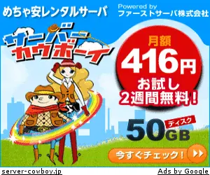 Rental Server Server Cowboy