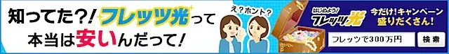 FLET'S Hikari
