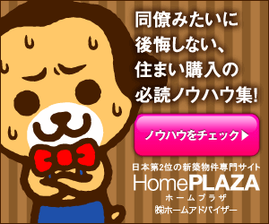 Home Plaza