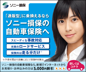 Sony Sompo Auto Insurance