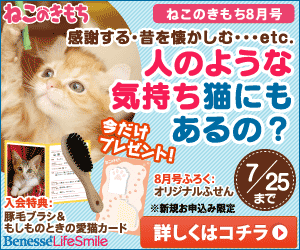 Neko no kimochi