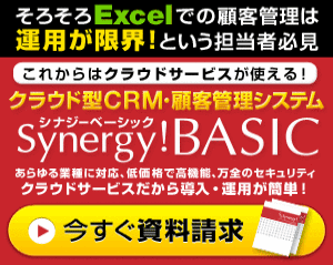 Customer Management System Synergy Besic