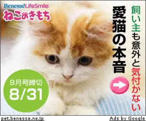 Cat's Mood