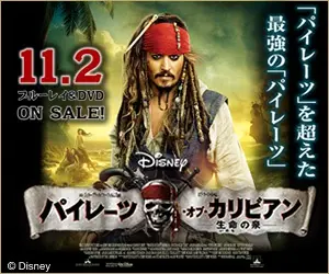 Pirati dei Caraibi - Oltre i confini del mare DVD