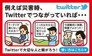 Twitter and Disaster