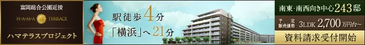 Hamaterasu Project