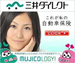 Mitsui Direct Automobile Insurance-3