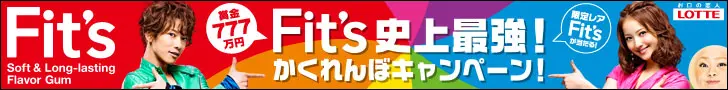 Lotte Gum Fit's