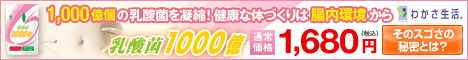 Wakasa Seikatsu