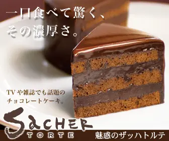 Chocolate Cake SaCHER