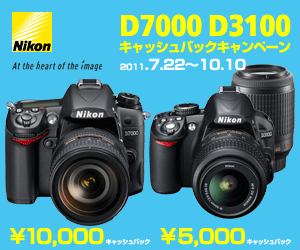 Nikon D7000 / D3100