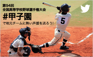 The 94th National High School Baseball Koshien