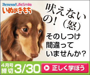 Inu no Kimochi: Il tuo metodo di addestramento è sbagliato?