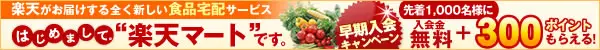 A brand new food delivery service by Rakuten
