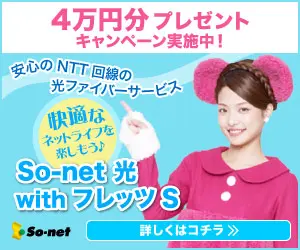  40,000 yen gift campaign So-net Hikari hikari with FLET'S