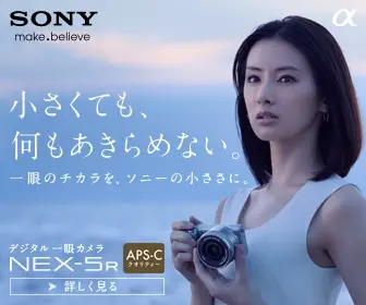 SONY NEX-5R Small but not giving up anything.