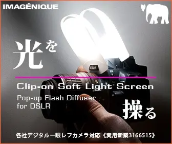 IMAGENIQUE Manipulate the Light