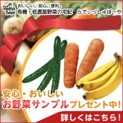 Safe and Delicious Vegetable Sample Present!
