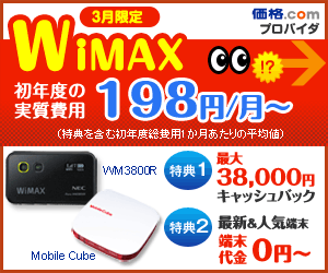 March limited WiMAX first year real cost 198yen/month?