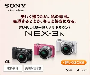 SONY NEX-3N