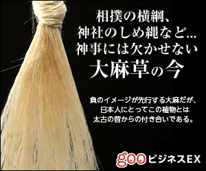  Yokozuna of sumo wrestlers, shimenawa of shrines, etc... Cannabis Grass, an Indispensable Part of Shinto Rituals, Now!
