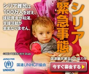 syria emergency
