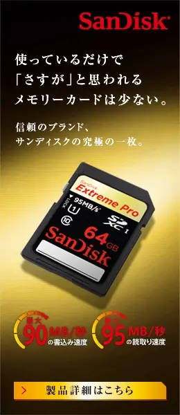  SanDisk Few memory cards are as "as good as they seem" just by using them.