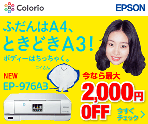 EPSON EP-976A3 Normalerweise A4, manchmal A3!