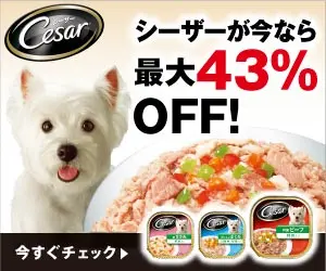 Caesar ora con uno sconto fino al 43%!
