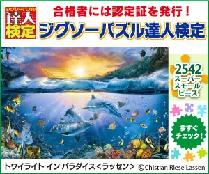 Esame di maestria per puzzle