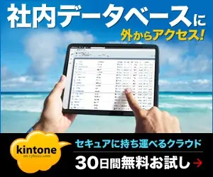 Access your company's database from outside!