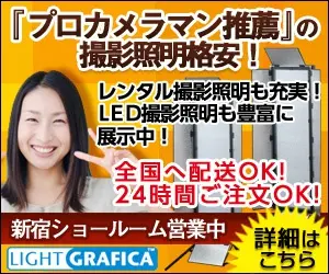 Recommandé par des photographes professionnels : éclairage de studio à petit prix ! LIGHT GRAFICA