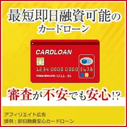  The Beetle Blossom Debt is a credit card loan that can be taken out on the same day, even if you're worried about the credit check.
