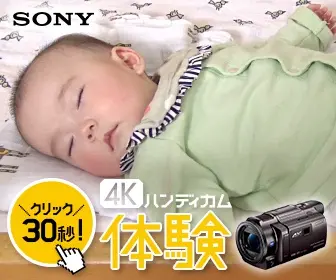 SONY 4K Handycam Experience