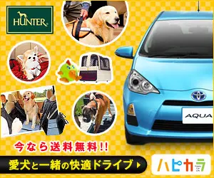 Comfortable driving with your dog Hapikara