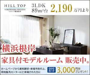 Yokohama Negishi Furnished model room for sale HILL TOP
