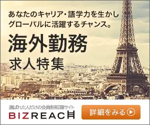 BizReach Overseas Work Job Feature BizReach