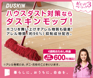 Duskin Mop for house dust control!