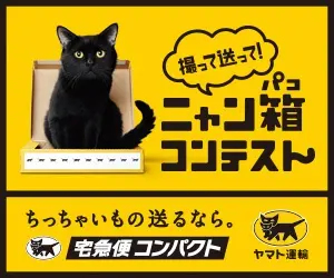 Nyan Box Contest Ta-Q-Bin Compact
