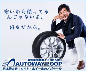 I don't use them because they're cheap. Because I like it.AUTOWAY LOOP