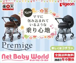Pigeon Premige Net Baby World
