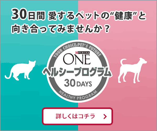  Why don't you face the "health" of your beloved pets for 30 days? ONE Healthy Program 30DAYS