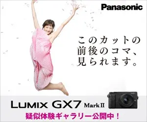Frame before and after this cut, you can see. panasonic LUMI