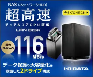 LAN DISK with super fast dual core CPU 116MB/s I・O DATA