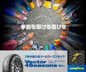GOOD YEAR Vector 4Seasons Hybrid