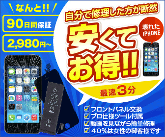 Broken iPHONE It is much cheaper and more economical to repair it yourself!