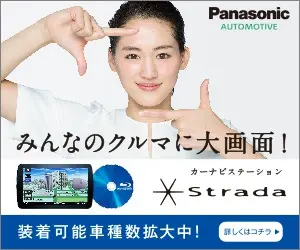  Panasonic Strada, a big screen in everyone's car!