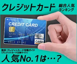 What is the most popular credit card?