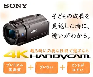 SONY 4K Handycam
