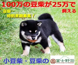  1,000,000 Mame-Shiba can be kept for 250,000 Fujinoso